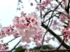 鶴岡八幡宮の自然