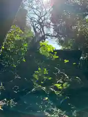 大甕神社(茨城県)