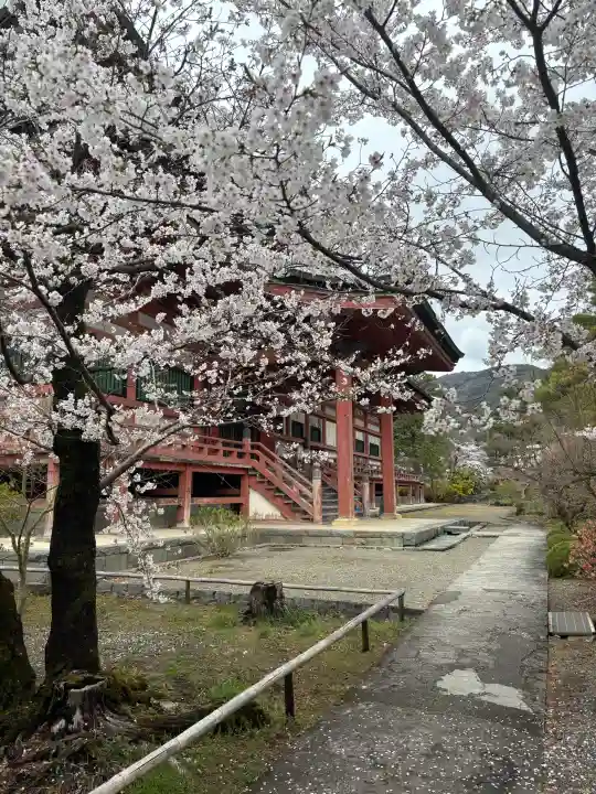甲斐善光寺の{uncategorized: "未分類", other: "その他", undefined: "問題あり", building: "その他建物", grave: "お墓", sacred_gate: "鳥居", guardian: "狛犬", statue: "像", buddha: "仏像", history: "歴史", nature: "自然", garden: "庭園", animal: "動物", pagoda: "塔", temizu: "手水舎", mountain_gate: "山門・神門", sanctuary: "本殿・本堂", subordinate: "末社・摂社", art: "芸術", scenery: "景色", jizo: "地蔵", ema: "絵馬", goshuin: "御朱印", omikuji: "おみくじ", items: "授与品その他", amulet: "お守り", goshuincho: "御朱印帳", eats: "食事", festival: "お祭り", votive_dance: "神楽", shichigosan: "七五三参", wedding: "結婚式", experience: "体験その他", initially: "初詣", around: "周辺", anti_infection: "感染症対策"}