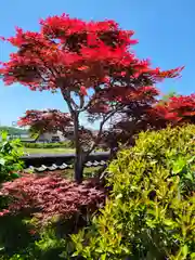 如意山長楽寺(兵庫県)