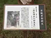 高杜神社の歴史