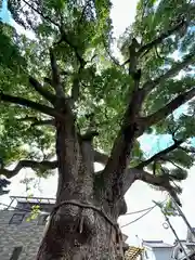 阿保神社(大阪府)