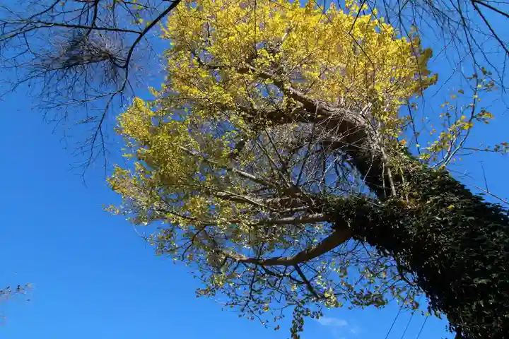 養蚕神社の自然