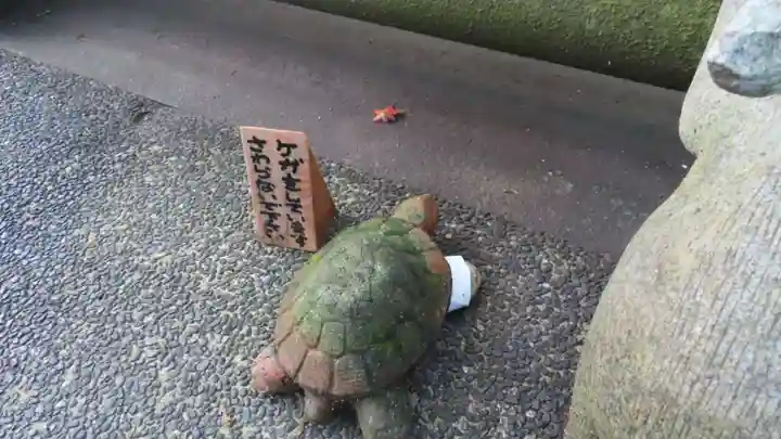 明月院(神奈川県)