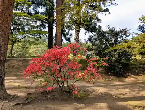 毛越寺(岩手県)