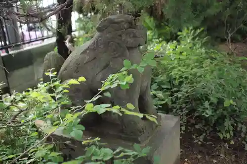 越谷香取神社の狛犬