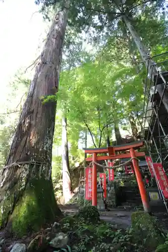 金櫻神社(山梨県)