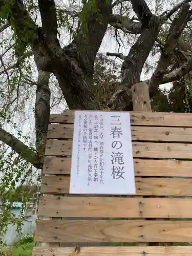 台渡里八幡神社(茨城県)