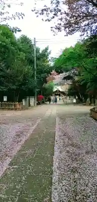 畑子安神社(千葉県)