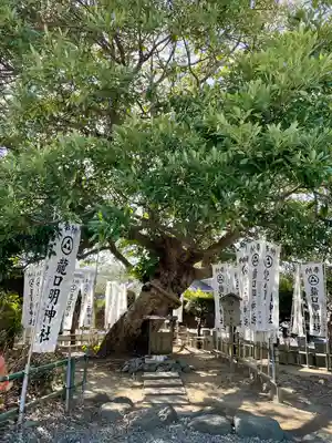龍口明神社(神奈川県)