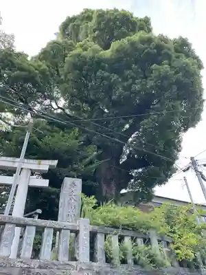 産土八幡神社(神奈川県)