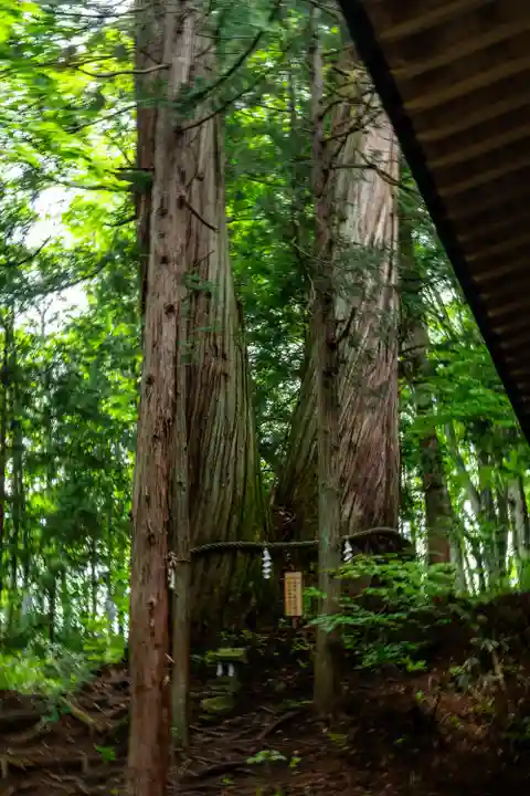 戸隠神社火之御子社(長野県)