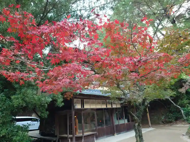 厳島神社(広島県)