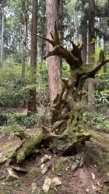 御岩神社(茨城県)