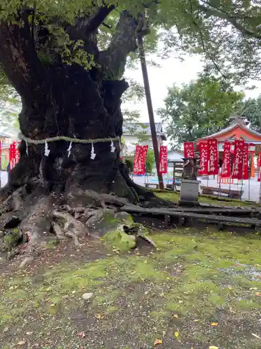 秩父今宮神社の自然