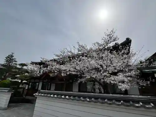 福祥寺（須磨寺）の自然