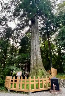 須山浅間神社(静岡県)