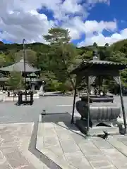 知恩院(京都府)