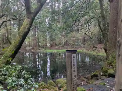 平泉寺白山神社の{uncategorized: "未分類", other: "その他", undefined: "問題あり", building: "その他建物", grave: "お墓", sacred_gate: "鳥居", guardian: "狛犬", statue: "像", buddha: "仏像", history: "歴史", nature: "自然", garden: "庭園", animal: "動物", pagoda: "塔", temizu: "手水舎", mountain_gate: "山門・神門", sanctuary: "本殿・本堂", subordinate: "末社・摂社", art: "芸術", scenery: "景色", jizo: "地蔵", ema: "絵馬", goshuin: "御朱印", omikuji: "おみくじ", items: "授与品その他", amulet: "お守り", goshuincho: "御朱印帳", eats: "食事", festival: "お祭り", votive_dance: "神楽", shichigosan: "七五三参", wedding: "結婚式", experience: "体験その他", initially: "初詣", around: "周辺", anti_infection: "感染症対策"}