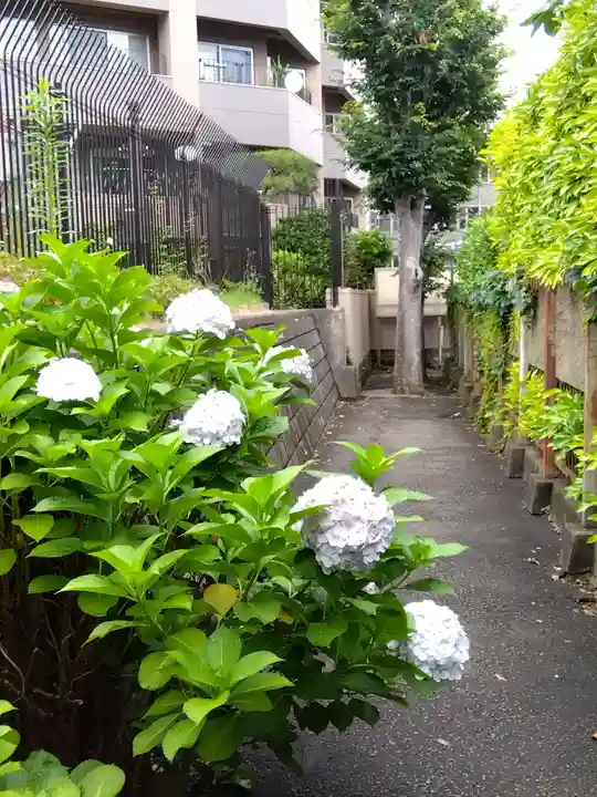 市谷亀岡八幡宮(東京都)
