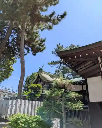 素盞嗚尊神社（江坂神社）(大阪府)