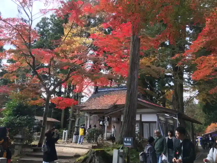 中尊寺本堂の自然