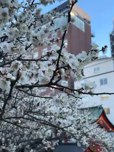 花園神社の自然
