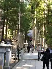 高野山金剛峯寺奥の院(和歌山県)