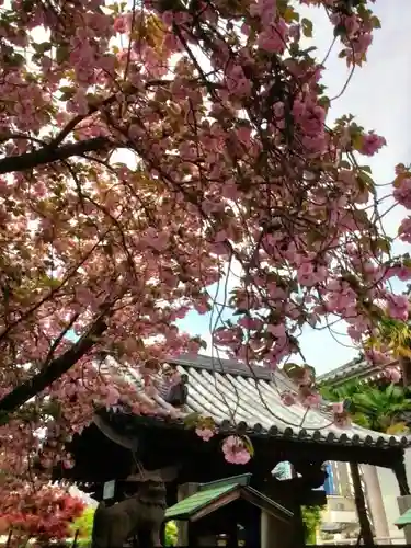 荘厳寺(東京都)