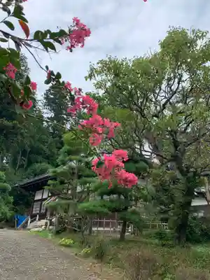 如意輪寺(市原観音)(茨城県)
