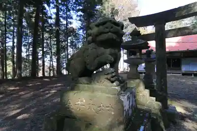 沢井八幡神社の狛犬