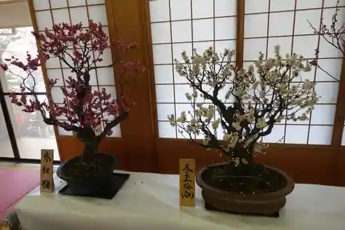 菅原天満宮（菅原神社）の自然