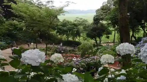 二本松寺の自然