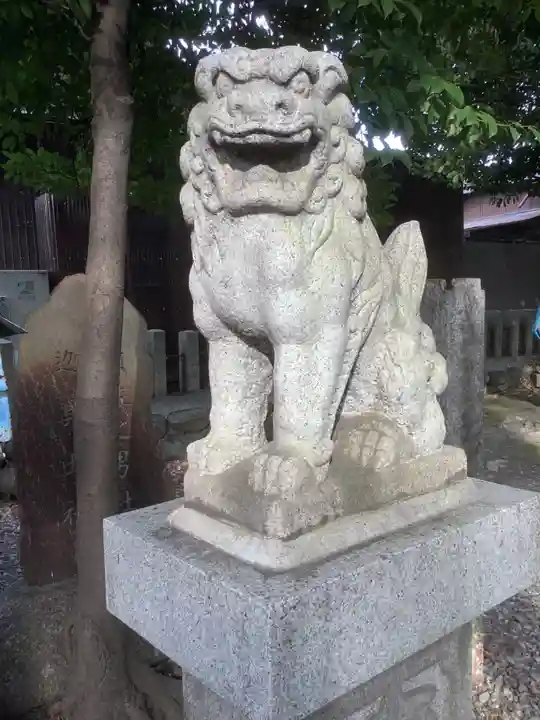 神明社(露橋神明社)の狛犬