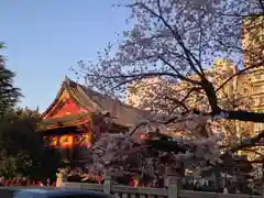 浅草寺の建物その他