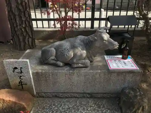 六波羅蜜寺の狛犬