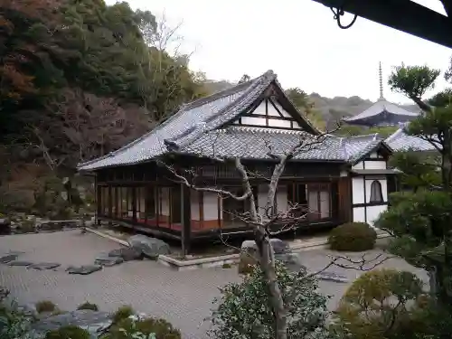 根来寺の本殿・本堂