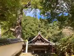 性海寺の建物その他