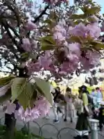 出会い不動の{uncategorized: "未分類", other: "その他", undefined: "問題あり", building: "その他建物", grave: "お墓", sacred_gate: "鳥居", guardian: "狛犬", statue: "像", buddha: "仏像", history: "歴史", nature: "自然", garden: "庭園", animal: "動物", pagoda: "塔", temizu: "手水舎", mountain_gate: "山門・神門", sanctuary: "本殿・本堂", subordinate: "末社・摂社", art: "芸術", scenery: "景色", jizo: "地蔵", ema: "絵馬", goshuin: "御朱印", omikuji: "おみくじ", items: "授与品その他", amulet: "お守り", goshuincho: "御朱印帳", eats: "食事", festival: "お祭り", votive_dance: "神楽", shichigosan: "七五三参", wedding: "結婚式", experience: "体験その他", initially: "初詣", around: "周辺", anti_infection: "感染症対策"}