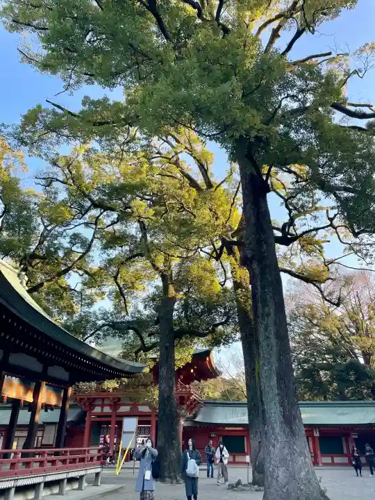 武蔵一宮氷川神社の{uncategorized: "未分類", other: "その他", undefined: "問題あり", building: "その他建物", grave: "お墓", sacred_gate: "鳥居", guardian: "狛犬", statue: "像", buddha: "仏像", history: "歴史", nature: "自然", garden: "庭園", animal: "動物", pagoda: "塔", temizu: "手水舎", mountain_gate: "山門・神門", sanctuary: "本殿・本堂", subordinate: "末社・摂社", art: "芸術", scenery: "景色", jizo: "地蔵", ema: "絵馬", goshuin: "御朱印", omikuji: "おみくじ", items: "授与品その他", amulet: "お守り", goshuincho: "御朱印帳", eats: "食事", festival: "お祭り", votive_dance: "神楽", shichigosan: "七五三参", wedding: "結婚式", experience: "体験その他", initially: "初詣", around: "周辺", anti_infection: "感染症対策"}