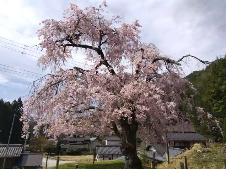 常照皇寺(京都府)