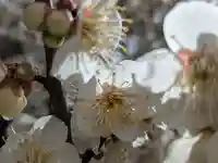 玉眞院玉川大師(東京都)