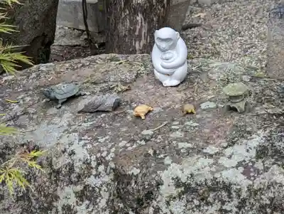 墨染寺（桜寺）(京都府)