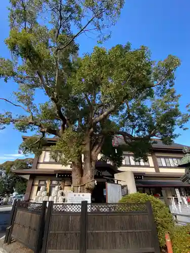 水戸東照宮の自然
