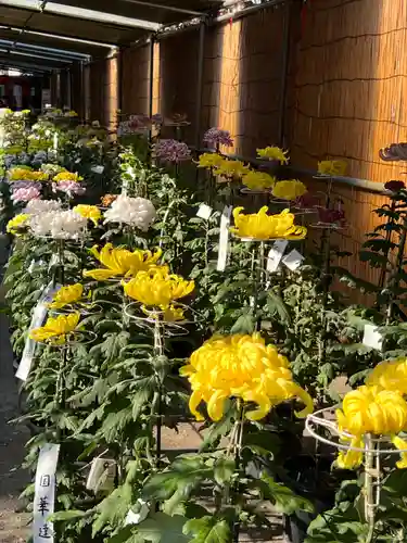 喜多院(埼玉県)