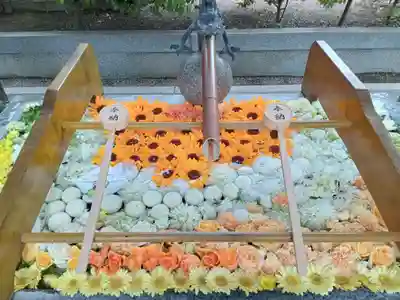 阿部野神社(大阪府)