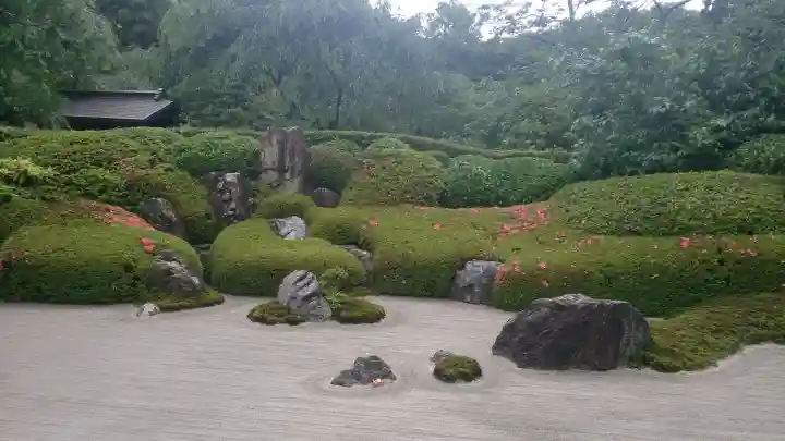 明月院の{uncategorized: "未分類", other: "その他", undefined: "問題あり", building: "その他建物", grave: "お墓", sacred_gate: "鳥居", guardian: "狛犬", statue: "像", buddha: "仏像", history: "歴史", nature: "自然", garden: "庭園", animal: "動物", pagoda: "塔", temizu: "手水舎", mountain_gate: "山門・神門", sanctuary: "本殿・本堂", subordinate: "末社・摂社", art: "芸術", scenery: "景色", jizo: "地蔵", ema: "絵馬", goshuin: "御朱印", omikuji: "おみくじ", items: "授与品その他", amulet: "お守り", goshuincho: "御朱印帳", eats: "食事", festival: "お祭り", votive_dance: "神楽", shichigosan: "七五三参", wedding: "結婚式", experience: "体験その他", initially: "初詣", around: "周辺", anti_infection: "感染症対策"}