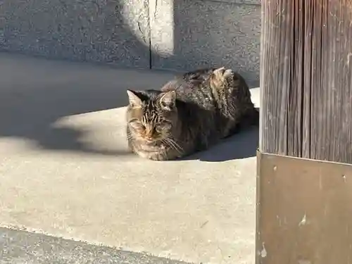 田村神社(香川県)