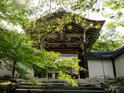 二尊院の山門・神門