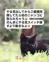 専念寺(大阪府)